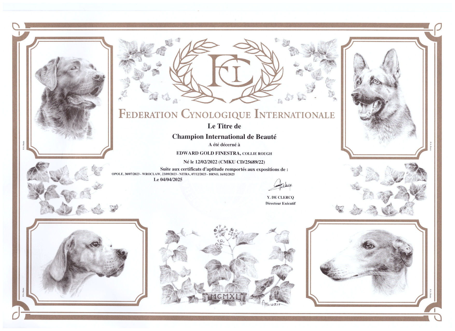 Edward Gold Finestra